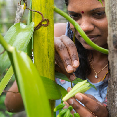 Farming with Selva